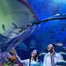 Ide Destinasi Aquarium yang Hits untuk Nge-date Akhir Pekan